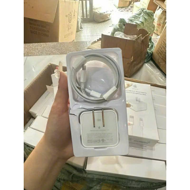 CỦ SẠC KÈM DÂY 2m CÓ 2 ĐẦU SẠC