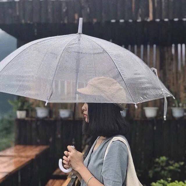 Ô dù trong suốt gấp gọn tiện lợi