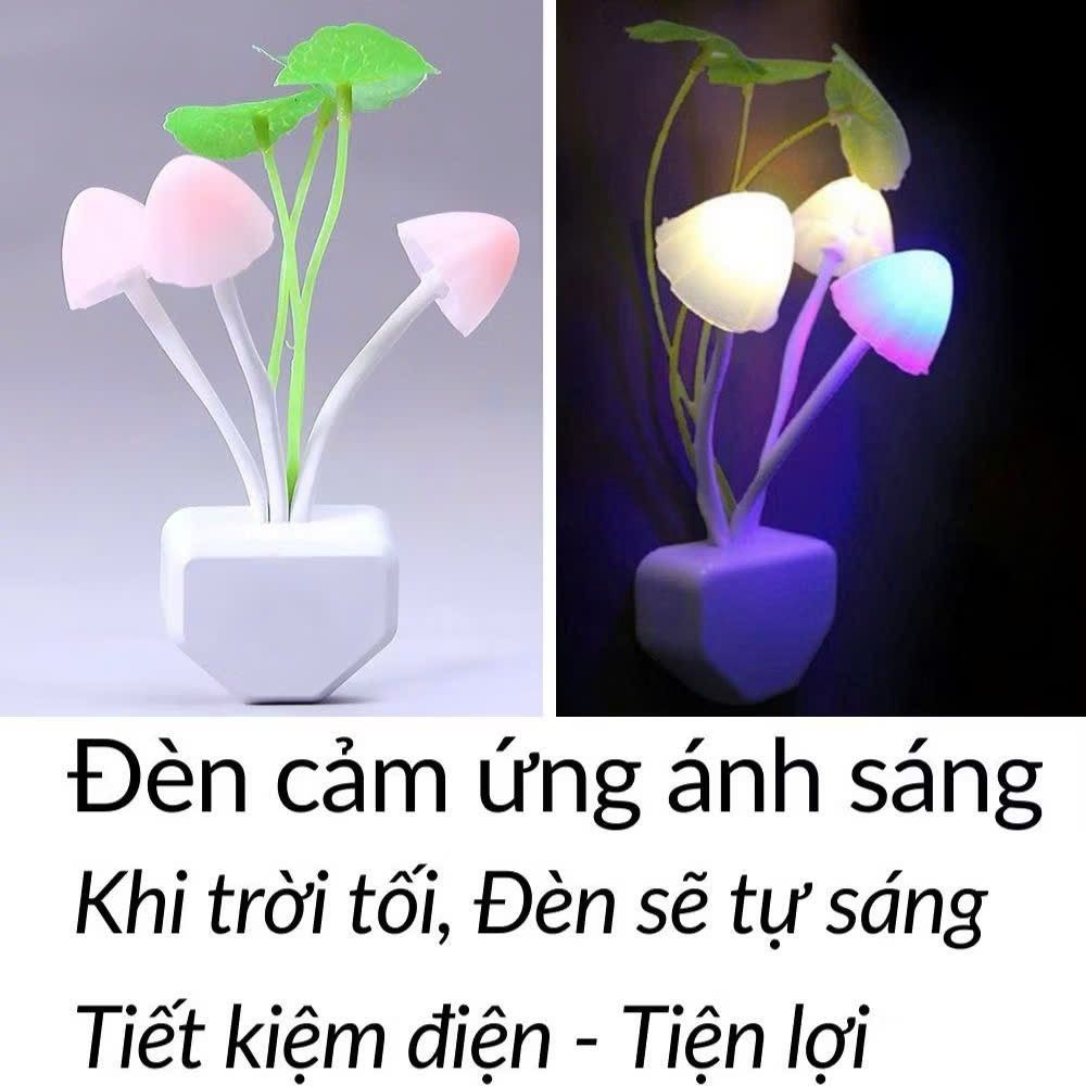 Đèn ngủ Nấm Cảm Ứng Khi Trời Tối