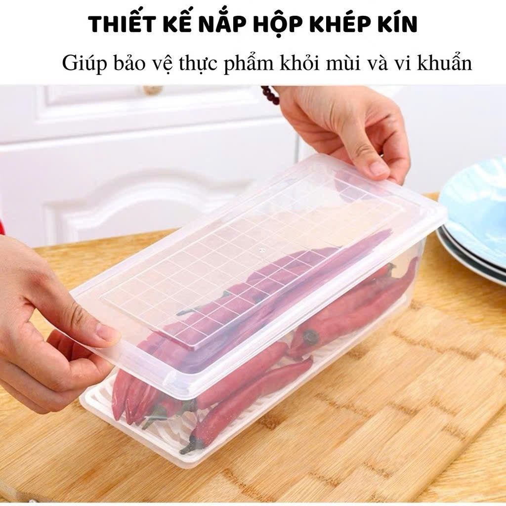Hộp Nhựa Đựng Thực Phẩm Tủ Lạnh Trong Suốt – Mã 6586 | Hàng Việt Nhật